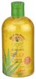 Aloe Vera Gelly - 12 OZ (case of 3) For Cheap