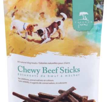 Treat Dog Beef Chewy - 7.8 OZ (case of 4) on Sale