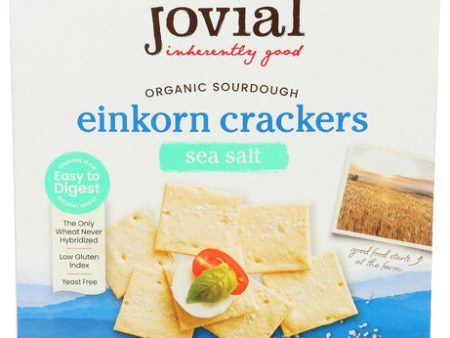 Cracker Sourdgh Sea Salt - 4.5 OZ (case of 10) Fashion