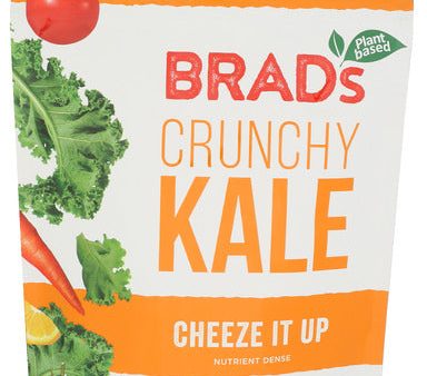 Chip Kale Cheeze It Up - 2 OZ (case of 12) Online Hot Sale