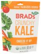 Chip Kale Cheeze It Up - 2 OZ (case of 12) Online Hot Sale