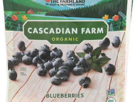 Fruit Blueberry Usa - 8 OZ (case of 12) For Sale