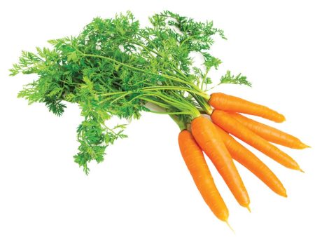 Fresh Carrots Online Sale