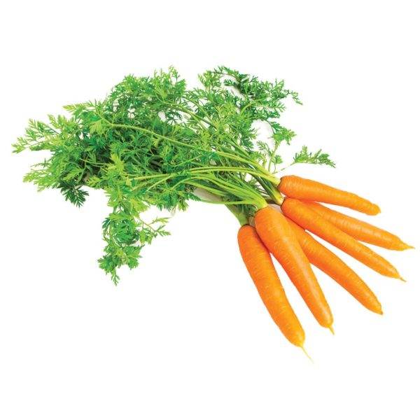 Fresh Carrots Online Sale