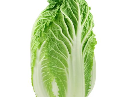 Nappa Lettuce Hot on Sale