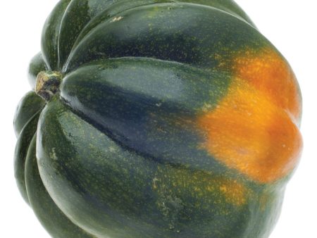 Acorn Squash Online Sale