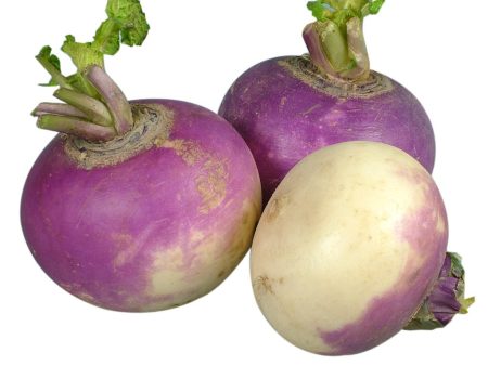 Turnips Discount