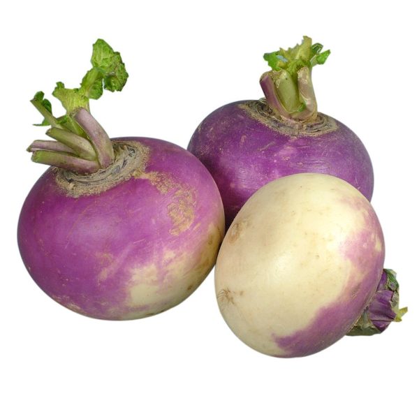 Turnips Discount