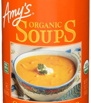 Soup Carrot Ginger Org - 14.2 OZ (case of 12) Cheap