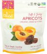 Fruit Apricot Turkish Org - 5 OZ (case of 6) For Discount