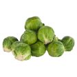 Brussels Sprouts Fashion