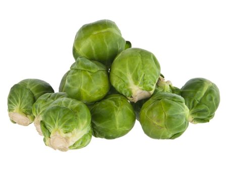 Brussels Sprouts Fashion