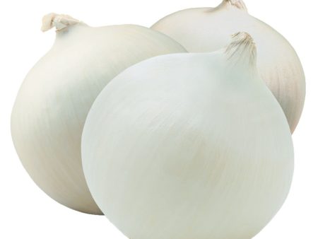 White Onions Sale